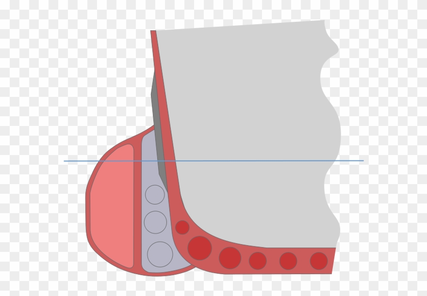 File - Anti-torpedo Bulge - Svg - Torpedo Belts Clipart