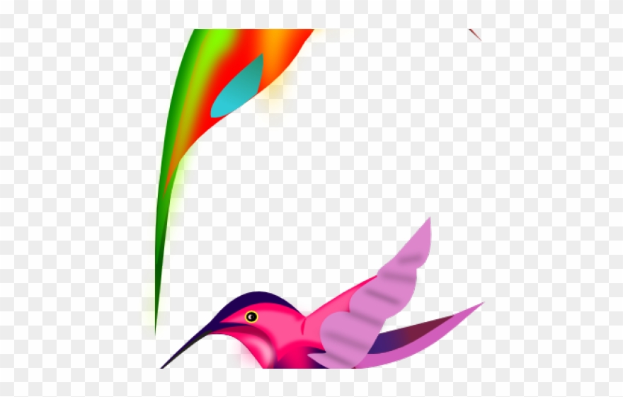 Hummingbird Clipart Humming Bird - Birds Clipart - Png Download