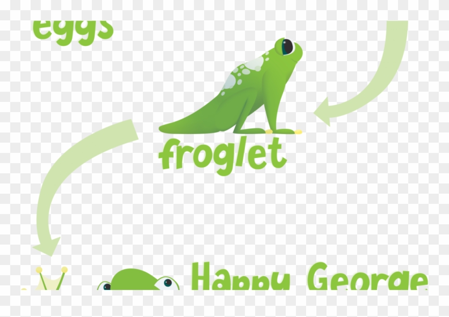Happy George Frog Li - Toad Clipart
