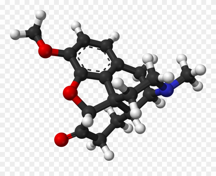 Hydrocodone Spartan Pm3 3d Balls - Hydrocodone Molecule Clipart