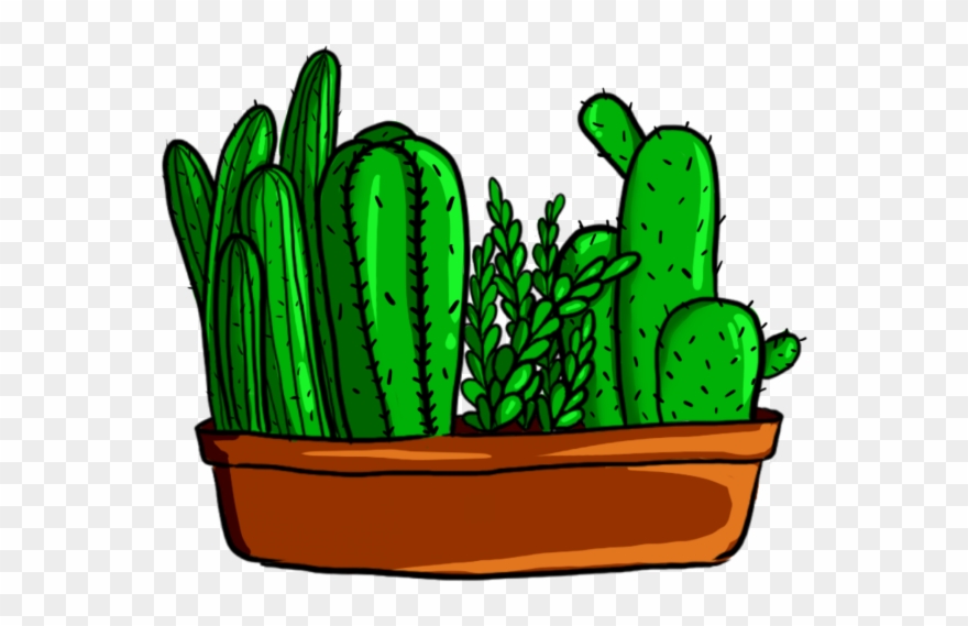 Green Cactus Plant Png And Psd For - กระบองเพชร Png Clipart