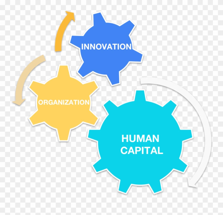 Exploring The Role Of Innovation, Organization And Clipart