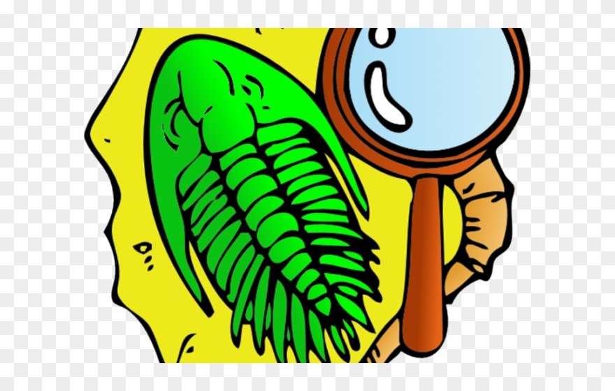 Fossil Clipart Geology Rock - Fossil Clip Art - Png Download