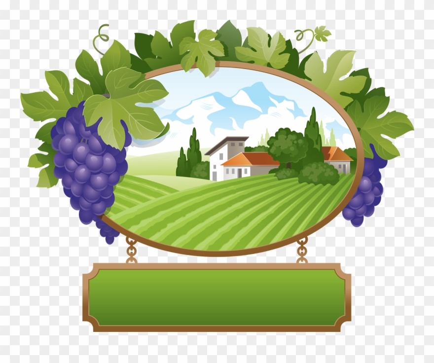 Forgetmenot Fruits Grapes - Uva Clipart