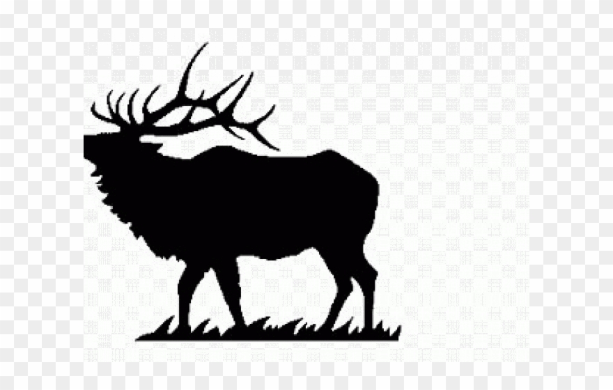 Jpg Free Stock Elk Clipart - Black And White Elk - Png Download