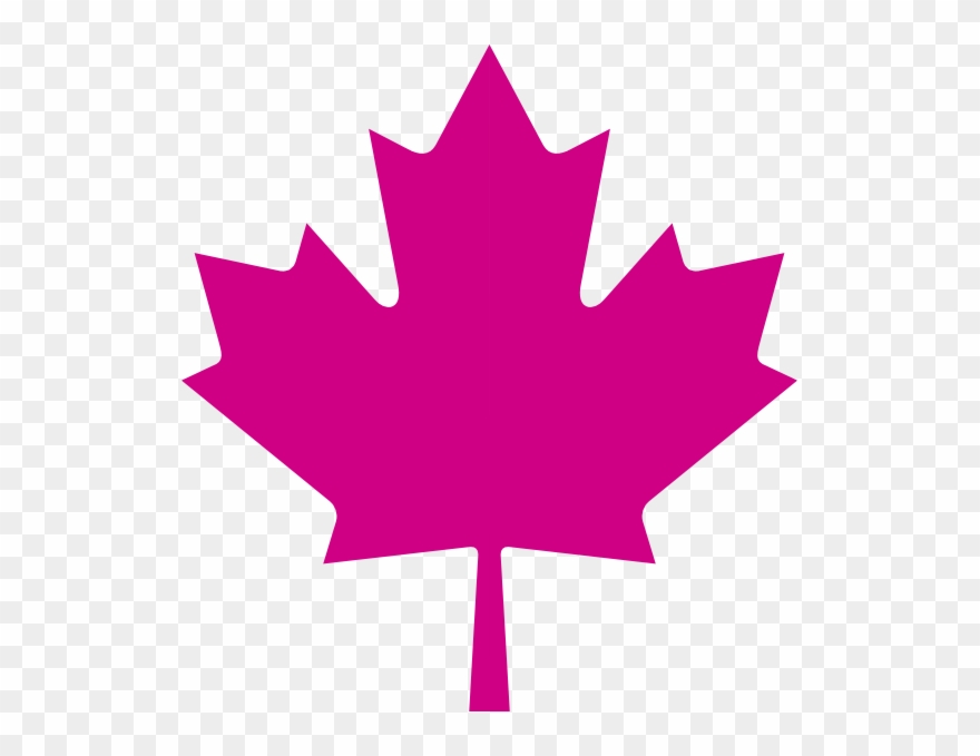 File Chp Maple Leaf Png Wikimedia Commons Clip Art - Maple Leaf Transparent Png
