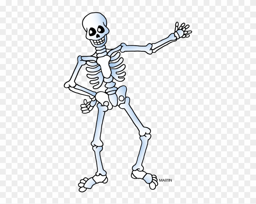 Skeleton Clipart - Png Download
