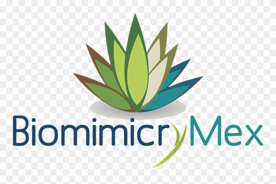 Logo Biomimicry Mex - Logo Clipart