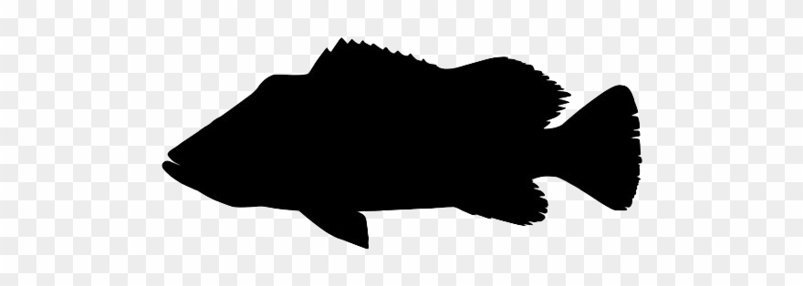 Peacock - Peacock Bass Black And White Clipart