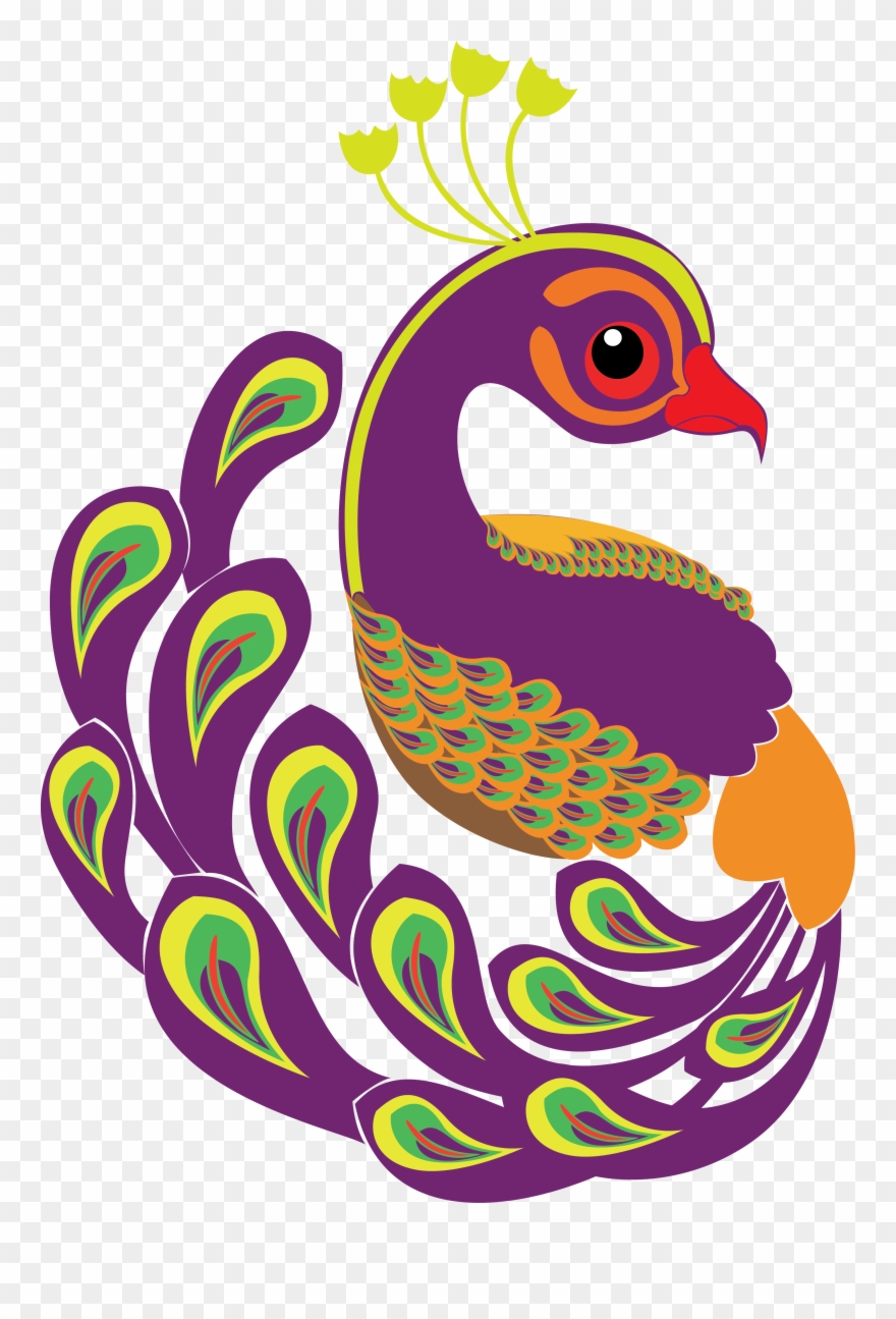 Peacock - - Illustration Clipart