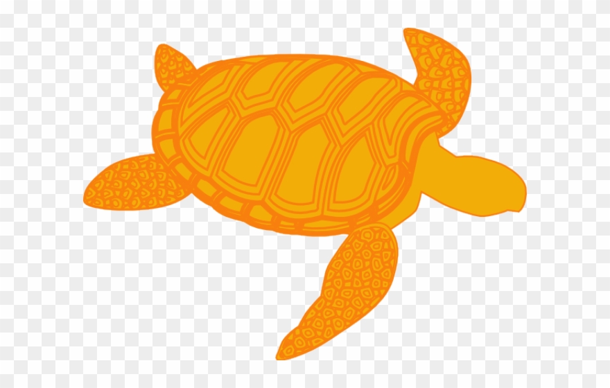 Sea Turtle Clipart Olive Ridley - Gambar Kartun Kura Kura - Png Download