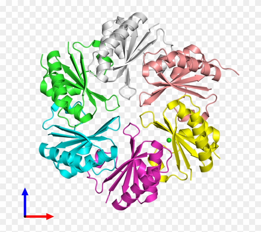Pdb 3sss Coloured By Chain And Viewed From The Front - Protein Data Bank Clipart