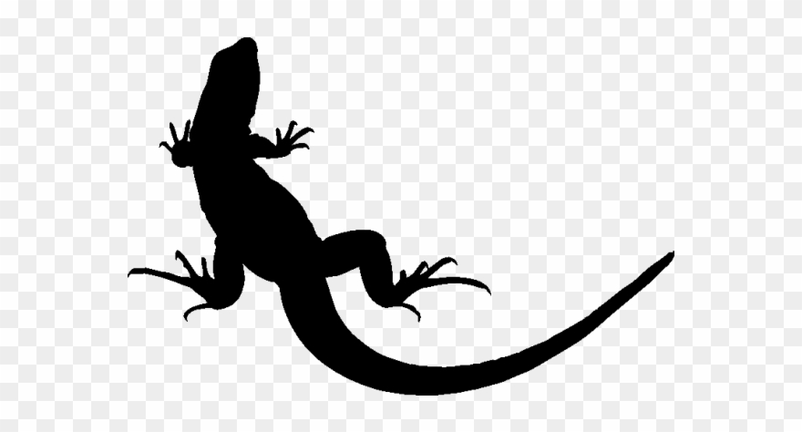 Lezard4 - Lizard Transparent Background Clipart