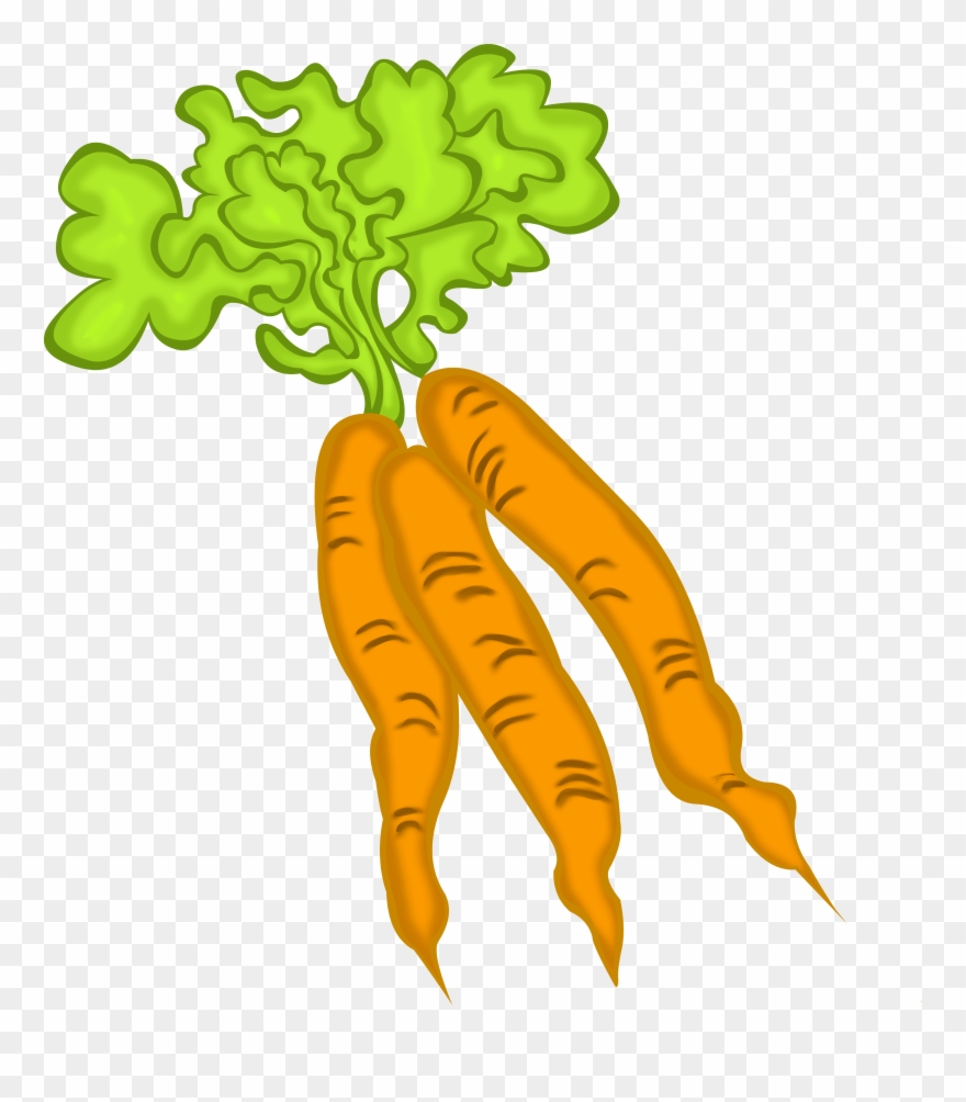Carrots Pictures Cartoon - แครอท เคลื่อนไหว Png Clipart