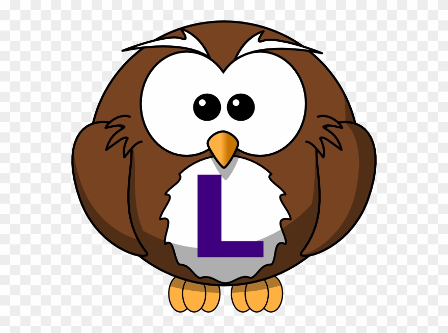 Owl Cartoon Png Clipart