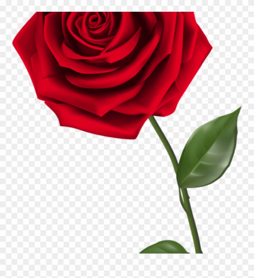 Single Rose Clipart Single Red Rose Png Clipart Image - Bible Verse Scripture Saturday Blessings Transparent Png