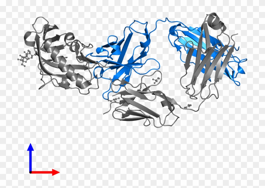 <div Class='caption-body'>pdb Entry 5ies Contains 1 - Illustration Clipart