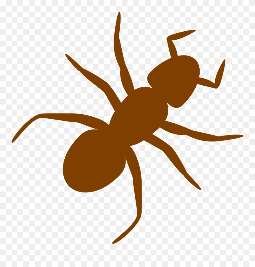 Brown Ant Svg Clip Arts 600 X 600 Px - Png Download
