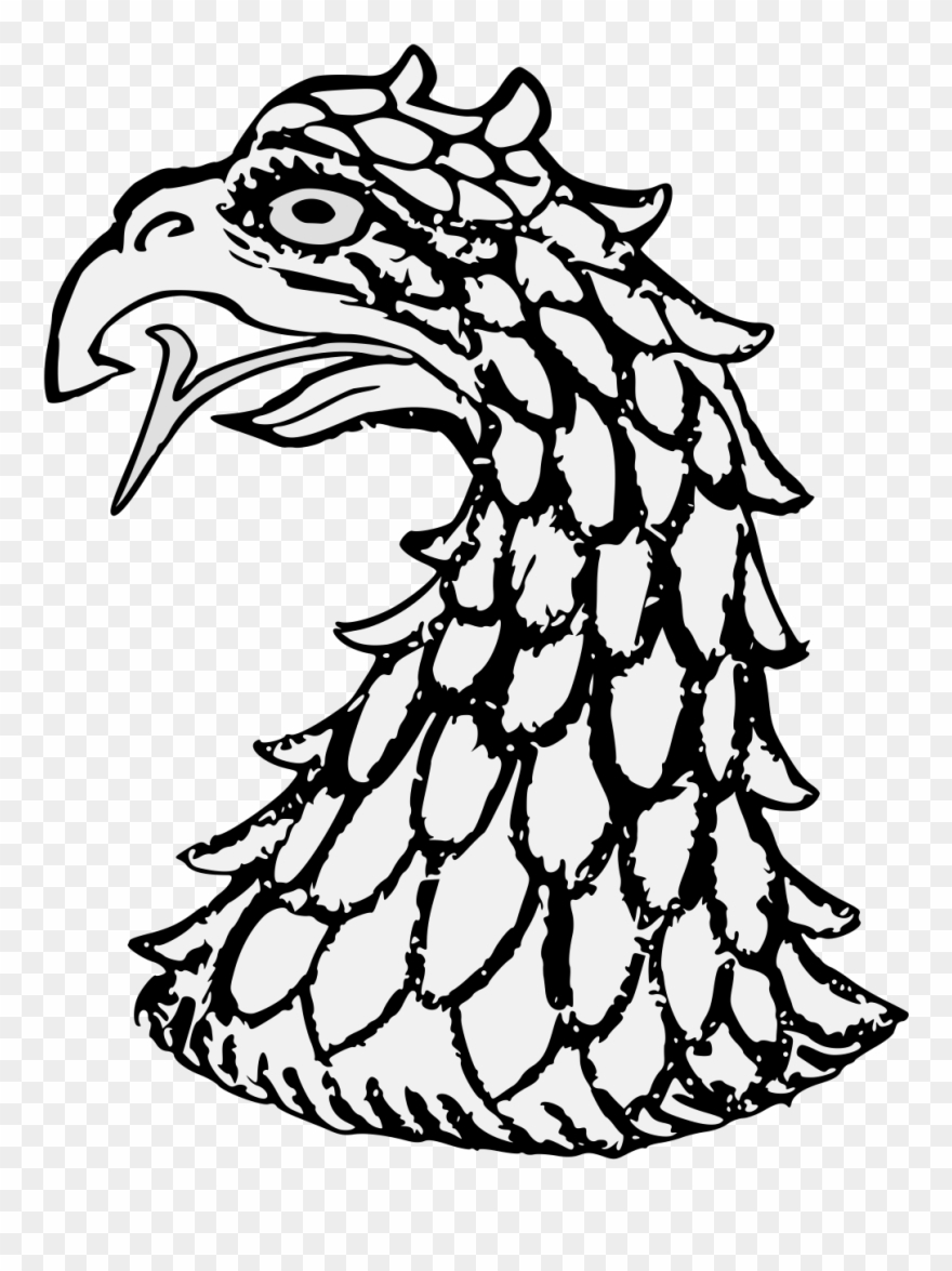 Eagle's Head Couped - Sketch Clipart