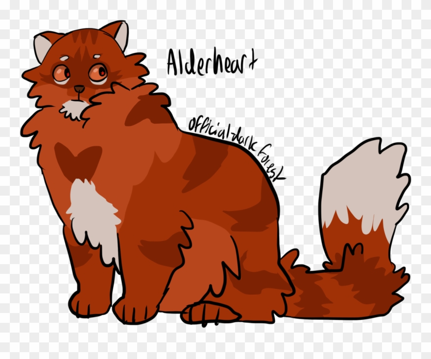 There's Too Many Med Cats And I Dont Know Anything - British Longhair Clipart