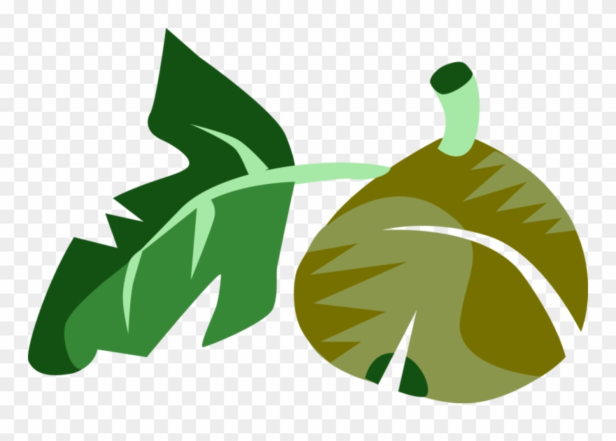 Vector Illustration Of Common Fig Fruit With Leaf - Common Fig Clipart
