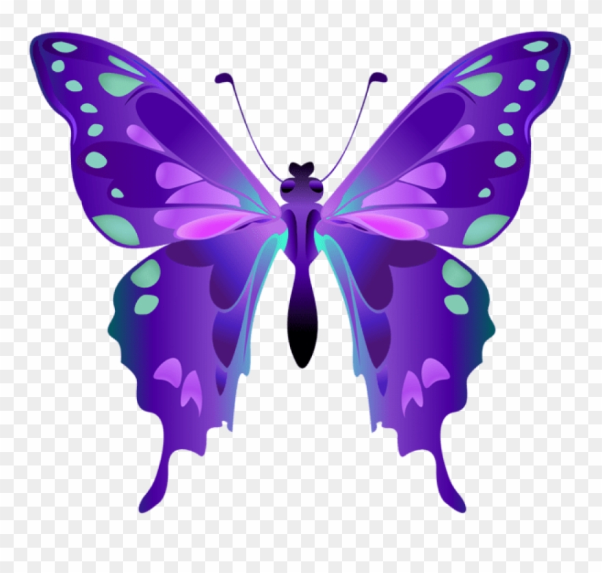 Decorative Butterfly Purple Png Clipart