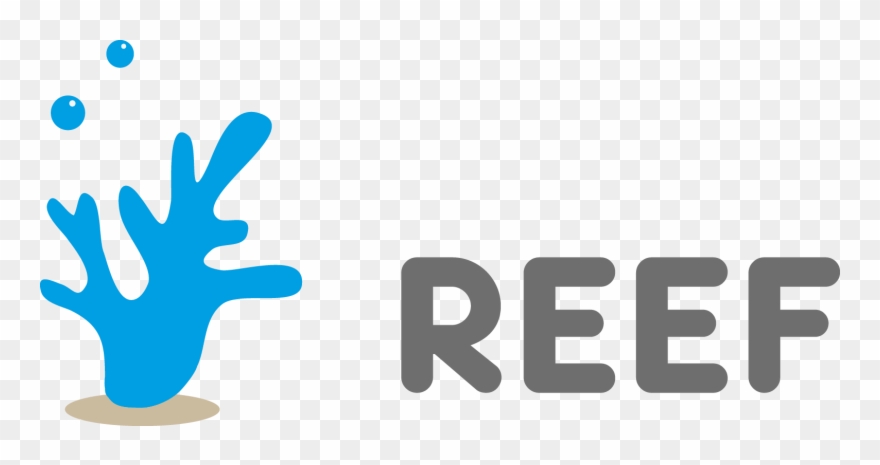 Jackrabbit Clip Art - Png Download