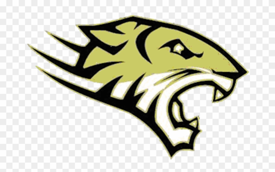 Towson Tigers Clipart