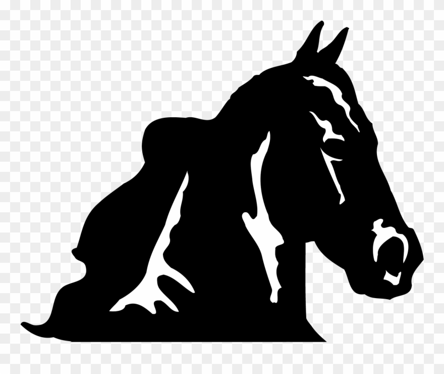 Horse Head Png Clipart - Imagen De Caballo De Dibujo En Blanco Y Negro Transparent Png