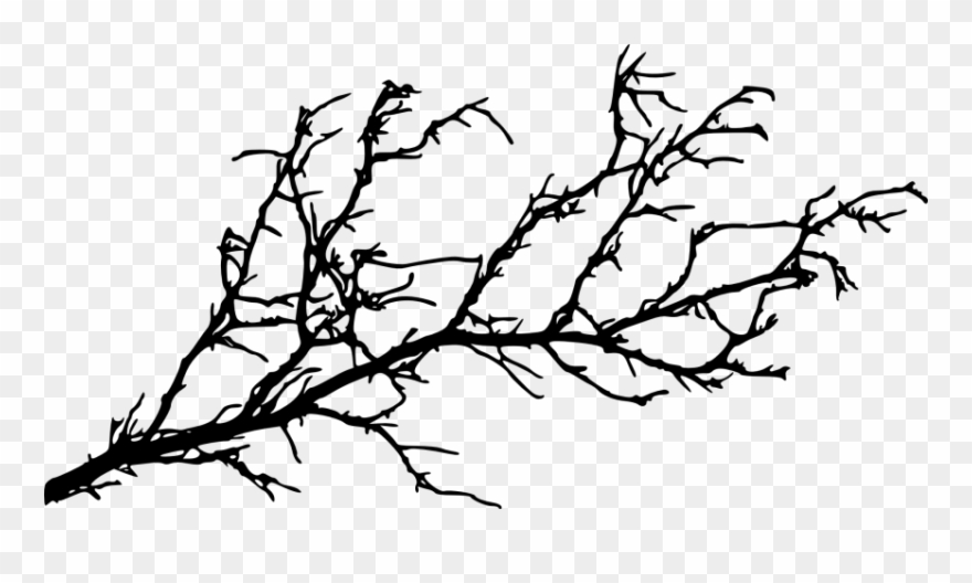 Free Png Tree Branch Png Images Transparent - Tree Branch Silhouette Transparent Clipart