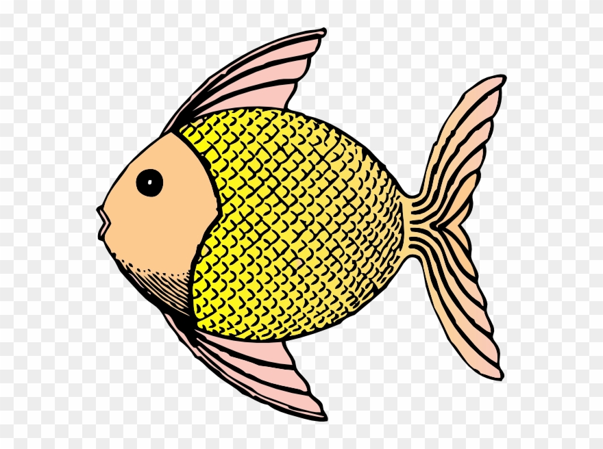 Png All About Animal Scales - Fish Clip Art Transparent Png