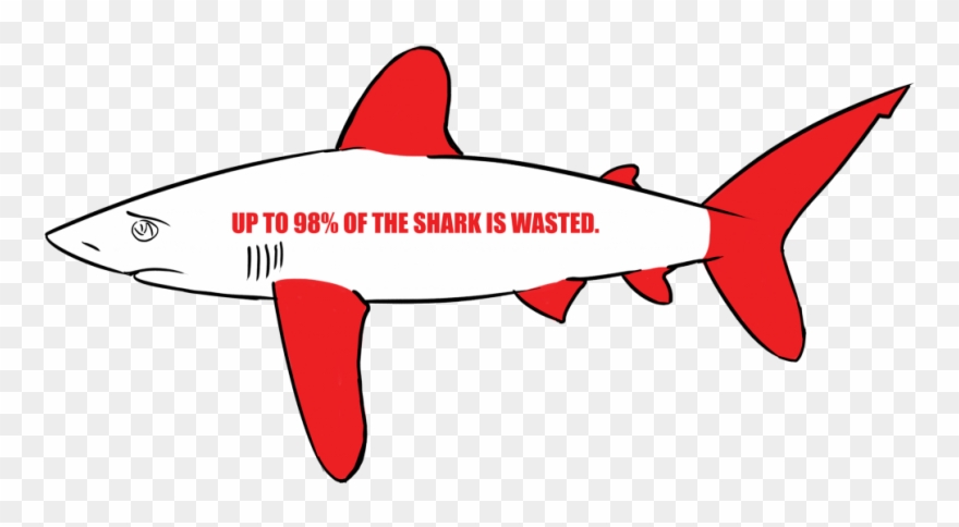 Most Of The Time, The Fins Are Cut Off And The Shark - Many Sharks Are Killed Each Minute Clipart