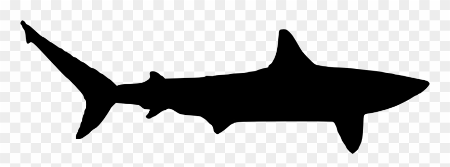 Silhouette Clipart Shark - Mako Shark Shark Silhouette - Png Download