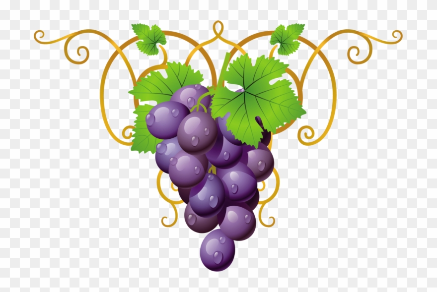 Holiday Decorations - Transparent Clipart Grape Vine Png