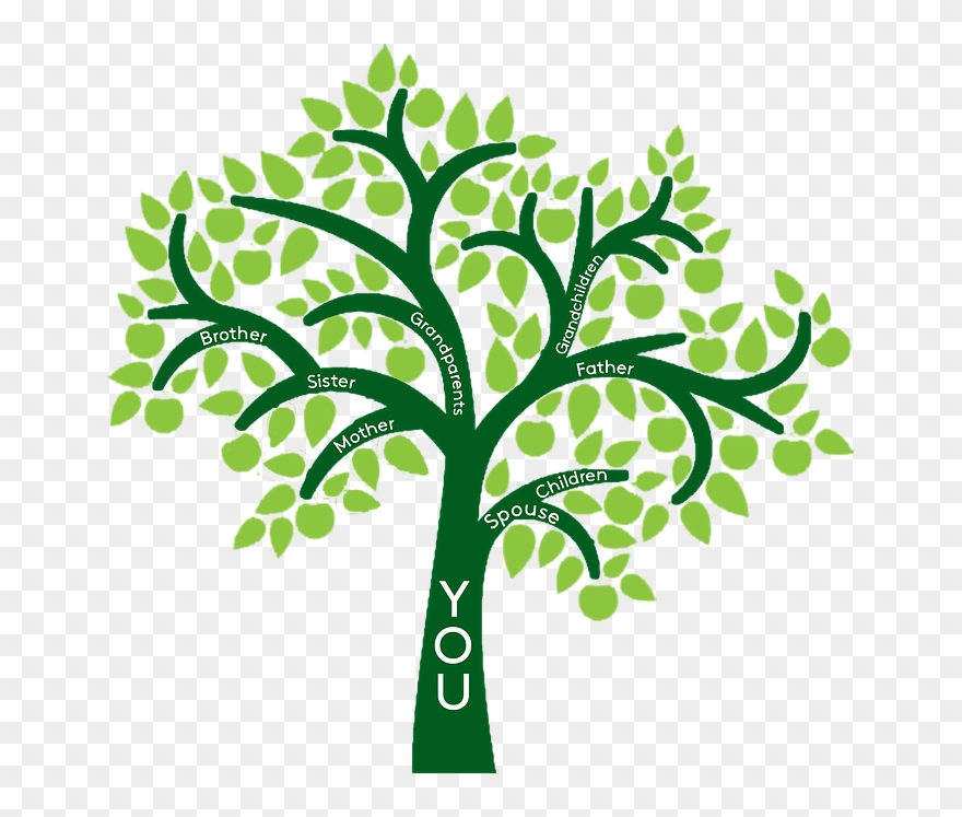 681a4e Mv2 D 1567 1531 S - Family Tree Ten People Clipart