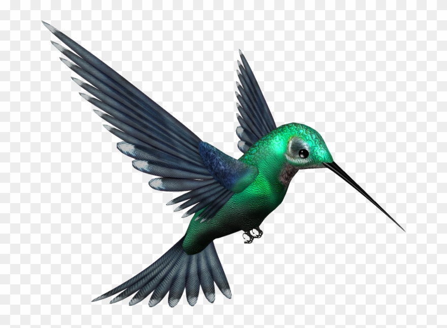 Jpg Freeuse Stock Humming Bird Png By Pixievamp Stock - Humming Bird Png Clipart