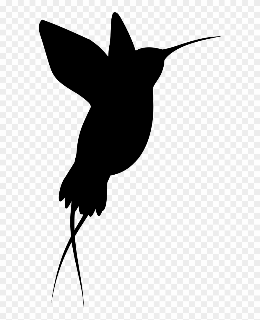 Info - Hummingbird Clipart