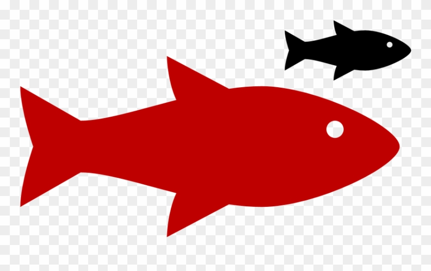 But, At A Recent Event With A Strong Noaa Contingent, - Aquaponics Clipart