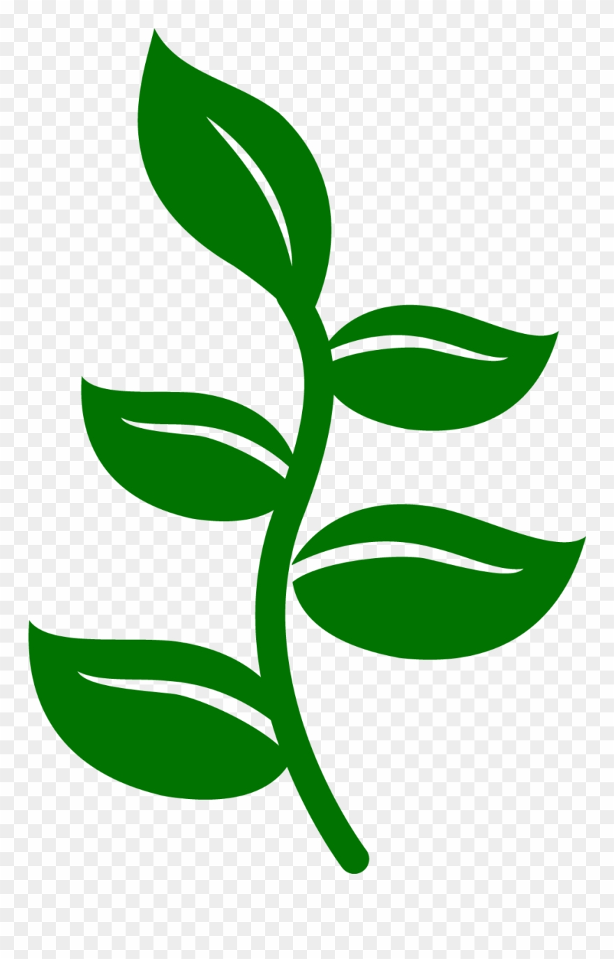 Ladybug, Clip Art, Flower Template, Cricut, Ladybugs, - Stencil - Png Download