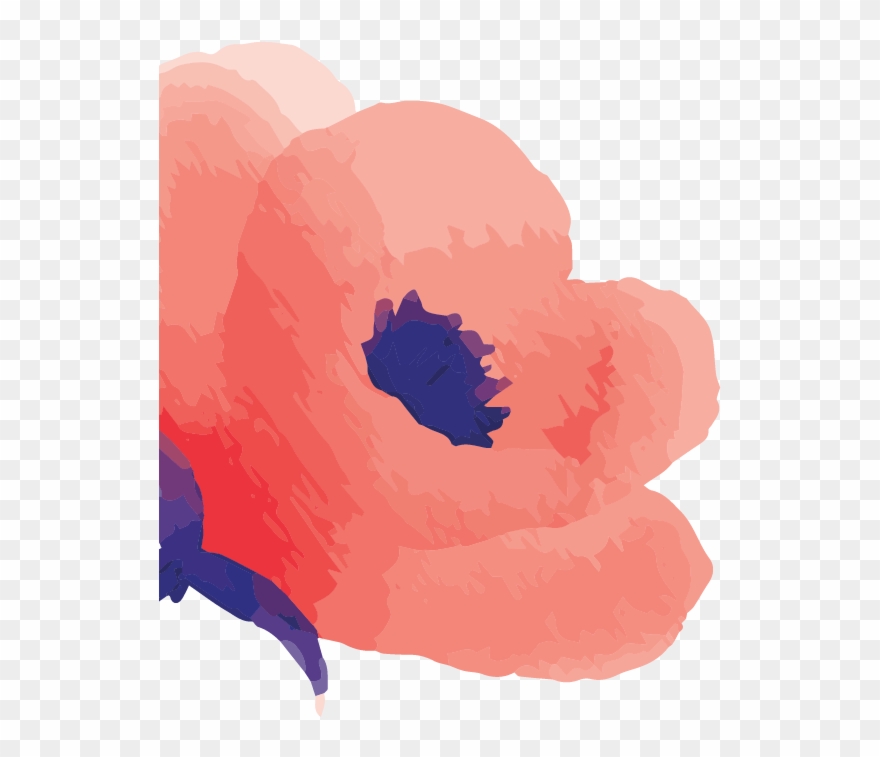 Curriculum Vitae Clipart