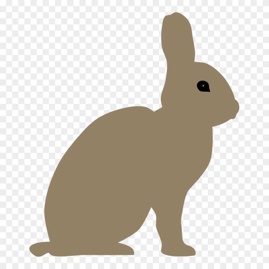 Arctic Hare Clipart Transparent - Arctic Hare Clip Art - Png Download