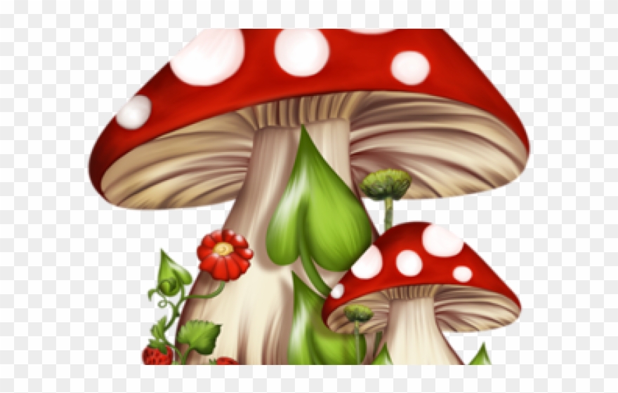 Gnome Clipart Alice In Wonderland Mushroom - Fairies And Gnomes Clip Art - Png Download