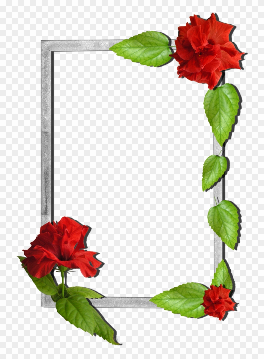 Flowers Frame Borders And Frames, Nature Plants, Frame Clipart