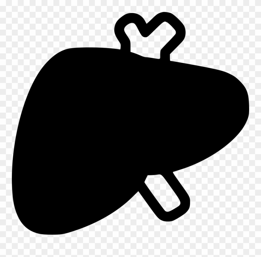 Liver Clipart Svg - Portable Network Graphics - Png Download