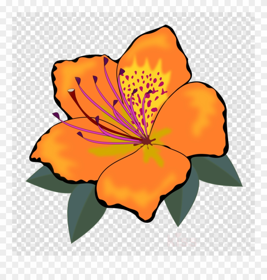 Flower Clipart Flower Clip Art - Montessori Conjunction The Farm - Png Download