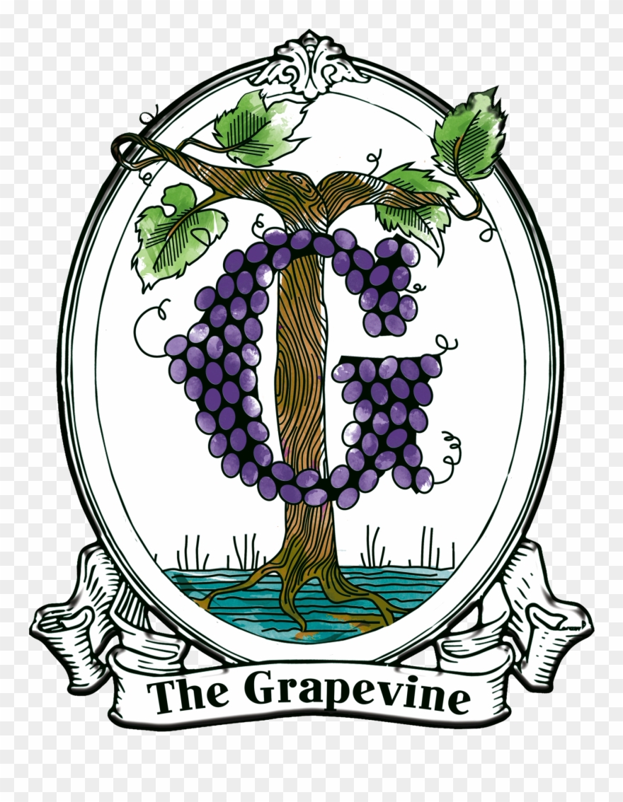 Grapevine Clipart - Illustration - Png Download