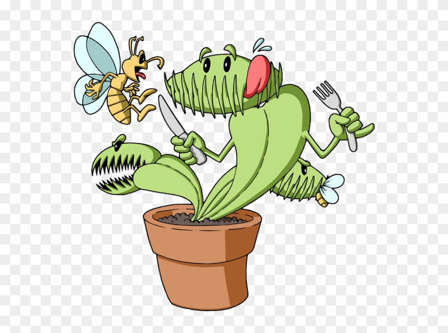 David Jacob Conner 1,2&3 On Twitter - Venus Fly Traps Parts Clipart