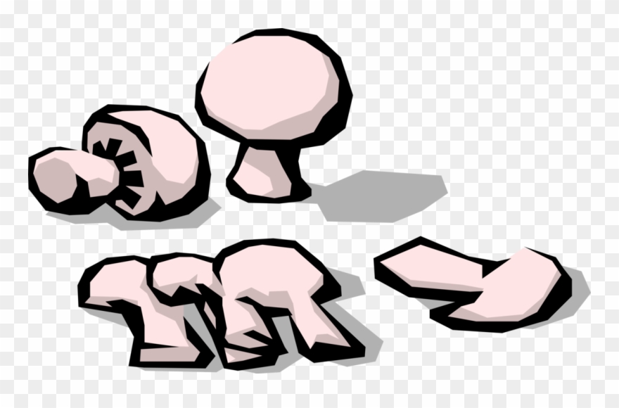 Vector Illustration Of Sliced Mushroom Or Toadstool - Illustration Clipart