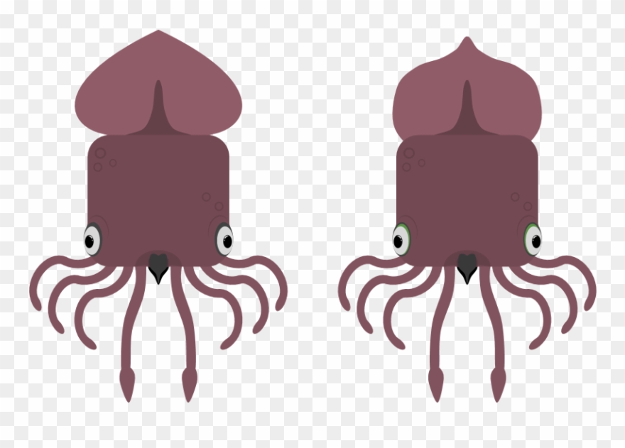 Animal[animal] - Colossal Squid Clipart