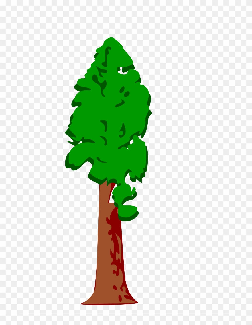 Brought To You By The Sms Pfc - Tree Stk Pivot Clipart